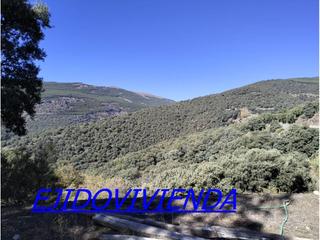 Finca rústica a Bayárcal. Finca rustica en venta en las rozas