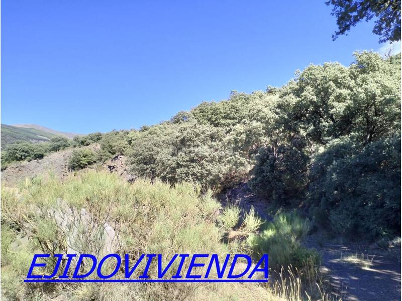 Foto 30caffd8-8760-481b-bf38-b424ac7fe170. Finca rústica a Bayárcal