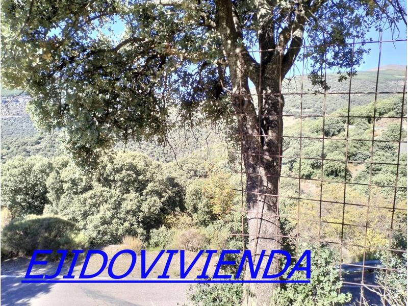 Foto 472c9bbf-5137-4913-8e24-f3e5d88d3a95. Finca rústica a Bayárcal