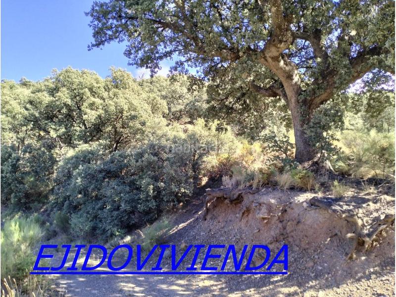 Foto 4a3603d3-a3e4-4a72-bed8-84ff694bd78f. Finca rústica a Bayárcal