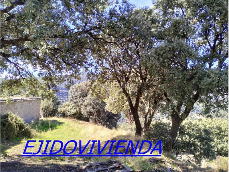 Foto 8a511cb8-d3b8-40b8-9122-c55881de72f0. Finca rústica a Bayárcal