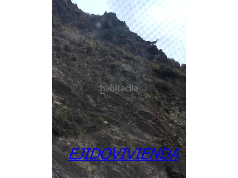 Foto 9b5464d2-a1f1-402a-9570-081254563799. Finca rústica finca rustica en venta en Bayárcal