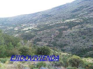 Finca rústica a Nevada. Terreno en venta en laroles