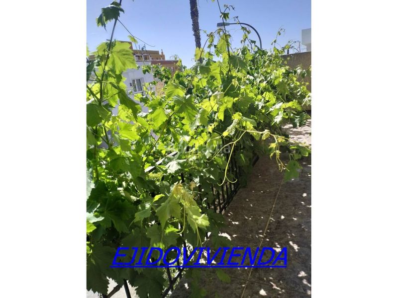 Foto cd2d1235-9b6c-4c9d-a674-9efb0227ffec. Haus mit parking in Ejido Norte Ejido (El)