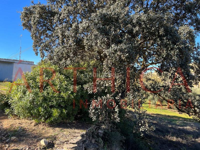 Foto 3500e239-497b-448c-b6d9-9544ee7d13c6. Country house with parking in Bobadilla - Bobadilla Estación - La Joya Antequera