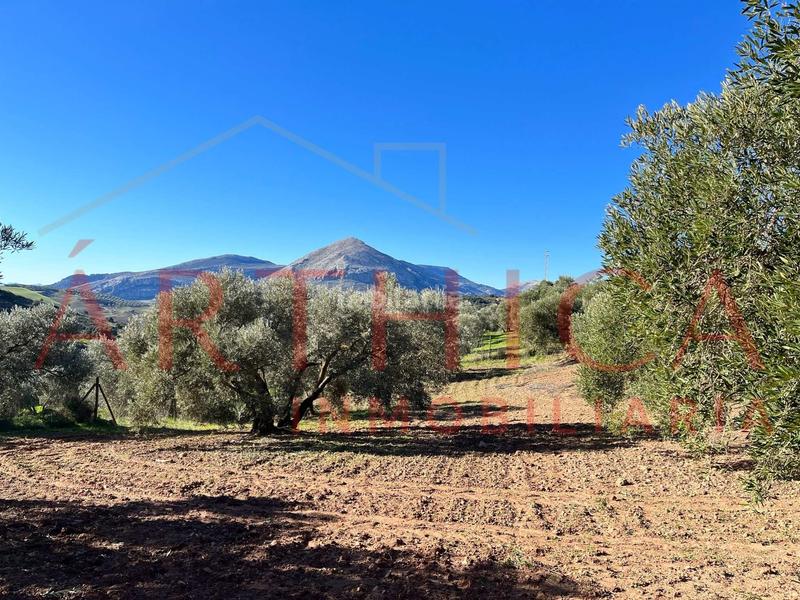 Foto 3ddbfe1e-9b79-4613-bfa0-4d1e89cceca7. Country house with parking in Bobadilla - Bobadilla Estación - La Joya Antequera