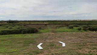 Residential Plot in De fuente blanca, dehesa y cebollar
