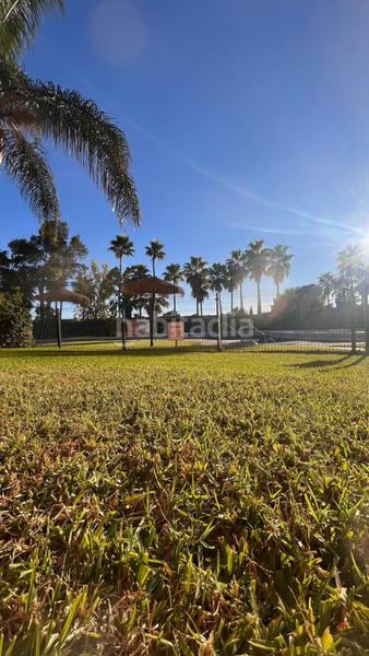 Foto 91aad437-3de7-4595-a8cc-a1e44b6c47e3. Rent penthouse with pool in Calahonda Mijas