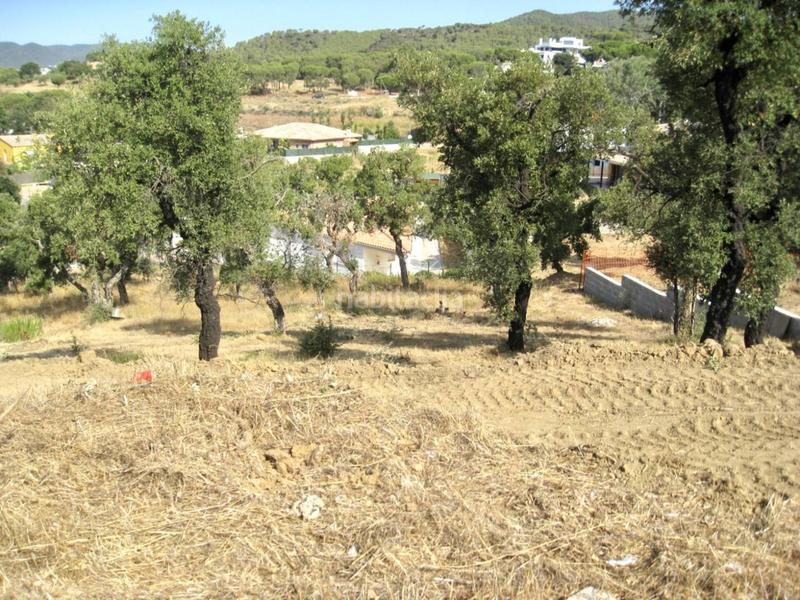 Foto 03448746-eeb5-430e-85a4-25f3e73a8f71. Finca rústica terreno en venta en Puig Ses Forques - Torre Colomina Sant Antoni de Calonge