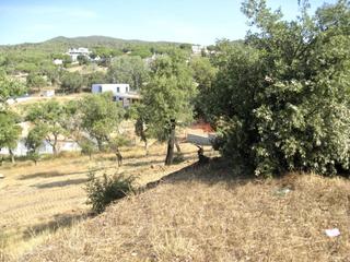 Finca rústica  Escarlet. Terreno en venta en sant antoni de calonge