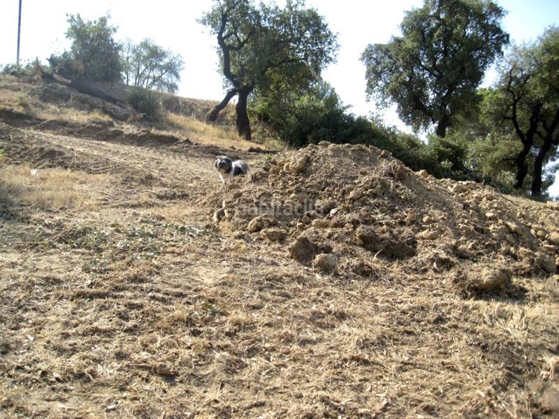 Foto afa40d46-76f3-4f13-b311-9d4abd1129e0. Finca rústica terreno en venta en Puig Ses Forques - Torre Colomina Sant Antoni de Calonge