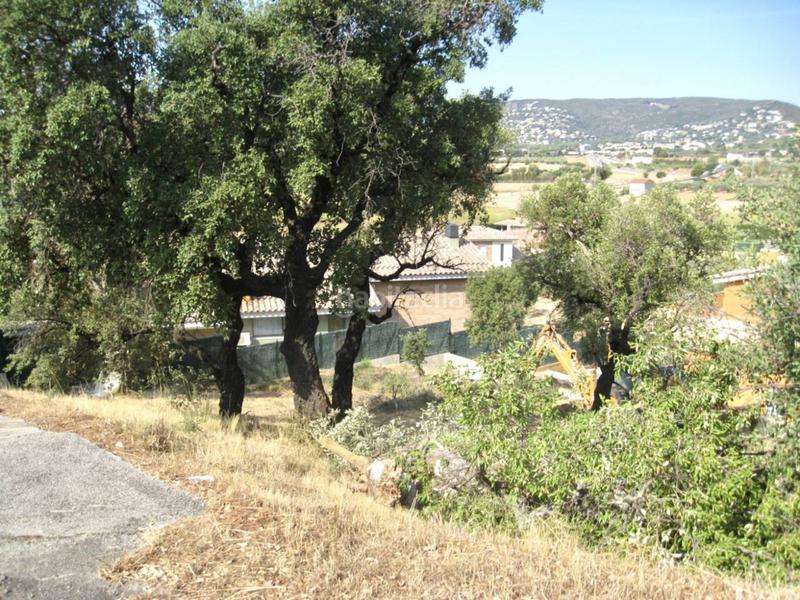 Foto c7d4e190-0650-4348-bc6e-0e56f0c1b51f. Finca rústica terreno en venta en Puig Ses Forques - Torre Colomina Sant Antoni de Calonge
