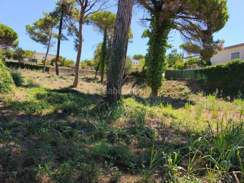 Foto 49f4d45b-775a-4f72-a6bc-6a43581b25d8. Residential plot in Montbarbat Maçanet de la Selva
