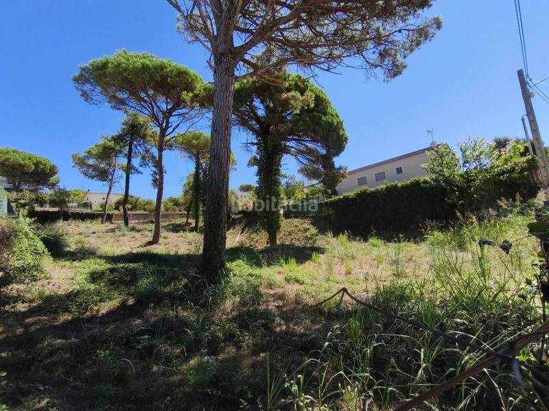 Foto ac10c1d7-01e6-4bad-b74b-94c044eaec4f. Residential plot in Montbarbat Maçanet de la Selva