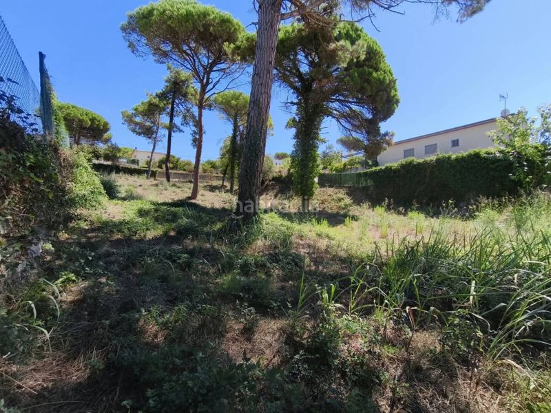 Foto b0c54255-b8a5-4973-83b3-a7edaebf1e6e. Residential plot in Montbarbat Maçanet de la Selva