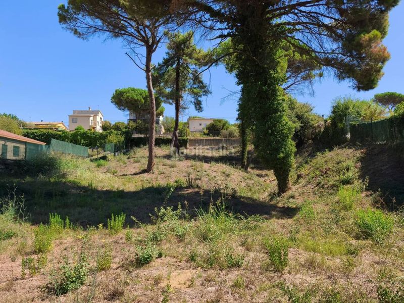 Foto febd7c3b-2ca9-4ade-9dee-c743d41a5f05. Residential plot in Montbarbat Maçanet de la Selva