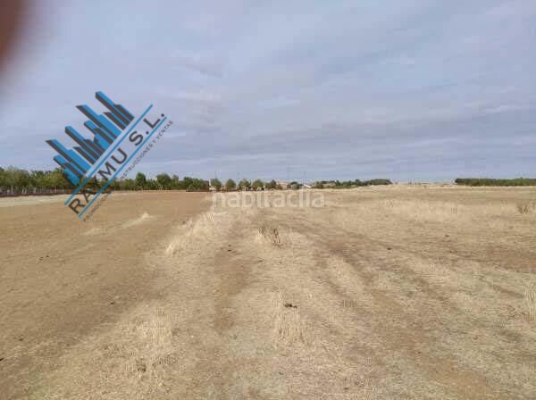 Foto 83aaa491-2108-4985-9c0b-a15947064525. Terreny residencial a Meco pueblo Meco