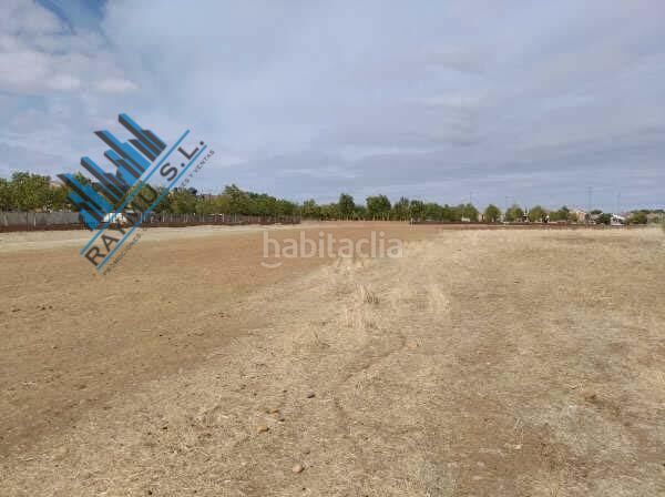 Foto bc8611bb-988e-449f-a427-956c46ef356b. Terreny residencial a Meco pueblo Meco