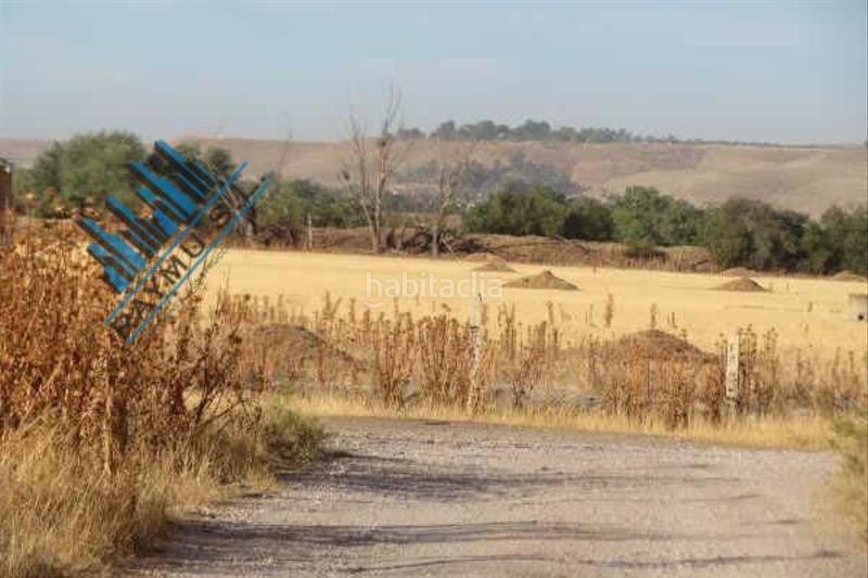 Foto 5f4fd7e7-65e8-4f31-8274-53063a317133. Terreno residencial raymu vende en La Montaña - El Cortijo Aranjuez