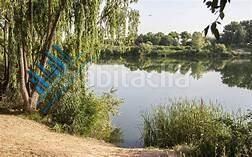 Foto acd8dd6f-a9a5-4ecb-b56f-f26328cdb605. Edifici a Velilla de San Antonio