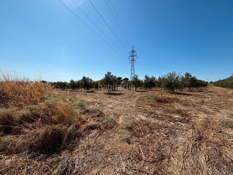 Foto 3dce4833-7253-4ee0-b735-71fc7c01ed05. Chalet mit kamin parking in Partides Rurals Lleida