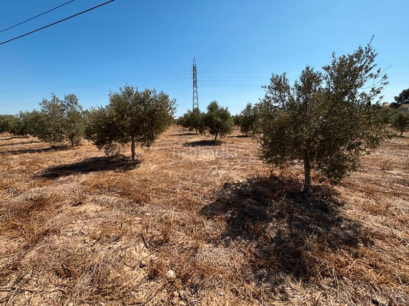 Foto 8aef717d-79fd-4a82-9951-69a7d0a1b1f3. Chalet mit kamin parking in Partides Rurals Lleida