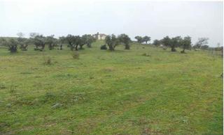 Terrain résidentiel à Zona Sur - Av. De España - San Miguel. Suelo urbanizable sectorizado