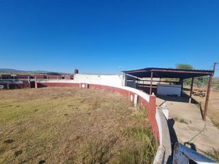 Finca rústica en Riolobos. Finca de 40 hectáreas en galisteo! ideal para para  proyectos de