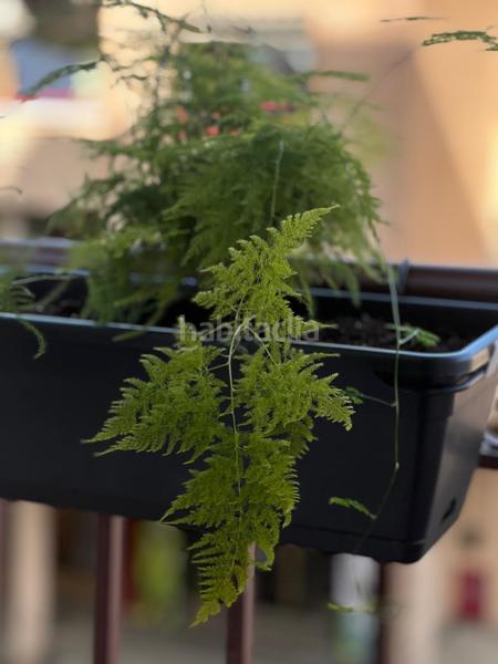 Foto c50ca8ec-798b-4b27-8b54-a251b0810370. Etagenwohnung mit heizung in Centro Ciudad Plasencia