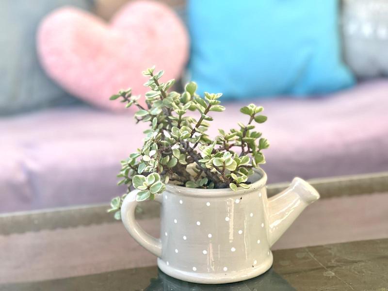 Foto 3fe8acaa-46e2-4d21-873a-ef5ef3513bb9. Reihenhaus mit heizung parking in Los Pinos - El Pilar Plasencia