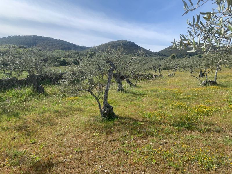 Foto 33ae3e6b-9665-4886-ab67-d71d3faebff7. Finca rústica a Casas de Millán