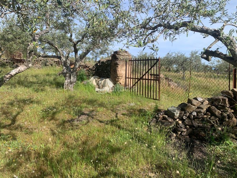 Foto 5b0904f5-1ec3-4328-9cba-72a65c4d7e11. Finca rústica a Casas de Millán