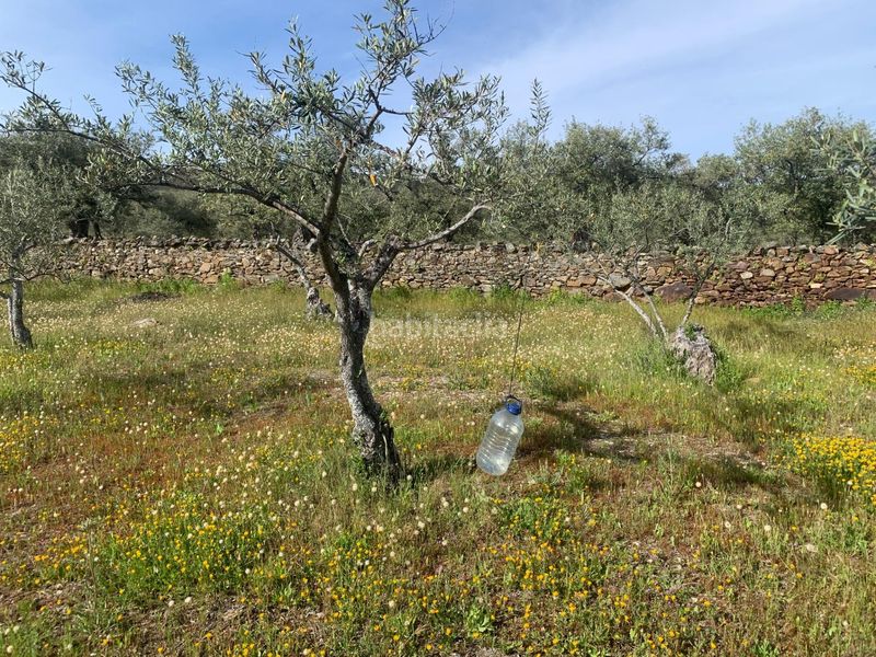 Foto c52a7bf0-9322-4ac3-bfa7-0d66106cb94d. Finca rústica a Casas de Millán