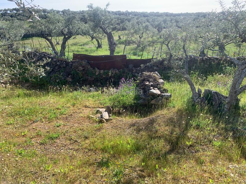 Foto d85346ec-8328-4dae-8a2a-28f59e5dccd3. Finca rústica a Casas de Millán