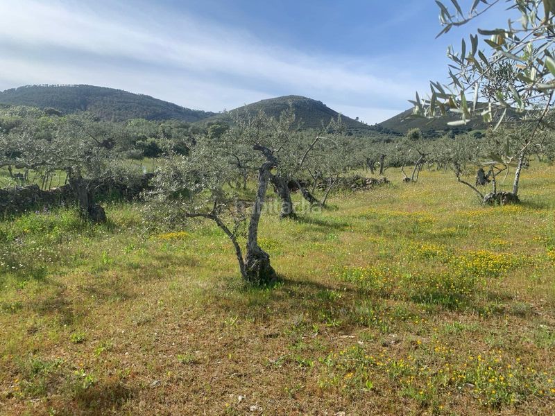 Foto db607865-b649-4ccd-b298-96148bdb65df. Finca rústica a Casas de Millán
