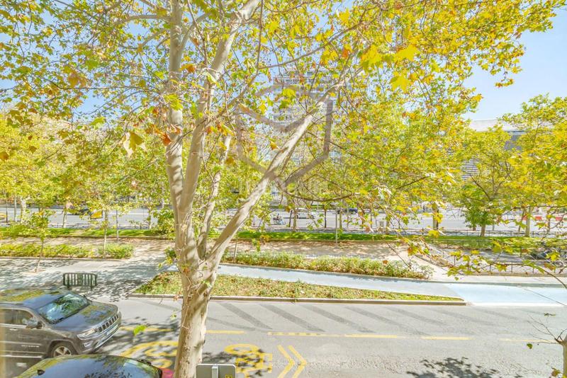 Foto c03f59ff-6a4c-4e2b-9b37-0d602747f062. Etagenwohnung mit heizung in Cuatro Caminos - Azca Madrid