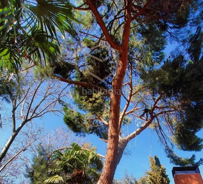 Foto bfa08e07-a7ff-46bb-b131-1b7d9edf6d95. Xalet amb calefacció aparcament piscina a Mirasierra Madrid