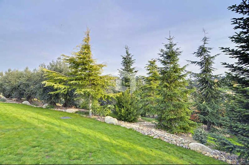 Foto 7786d15d-85f5-4df4-88c7-4d21520d354a. Xalet amb calefacció aparcament piscina a Club de Golf Rozas de Madrid (Las)