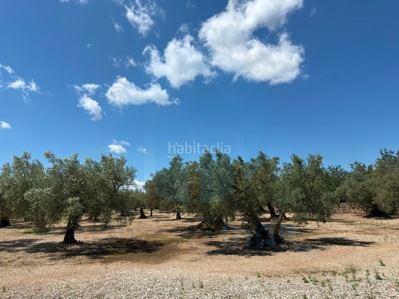 Foto 78082f54-5045-47b5-b798-40ca9fe11494. Masia a Mas de Barberans