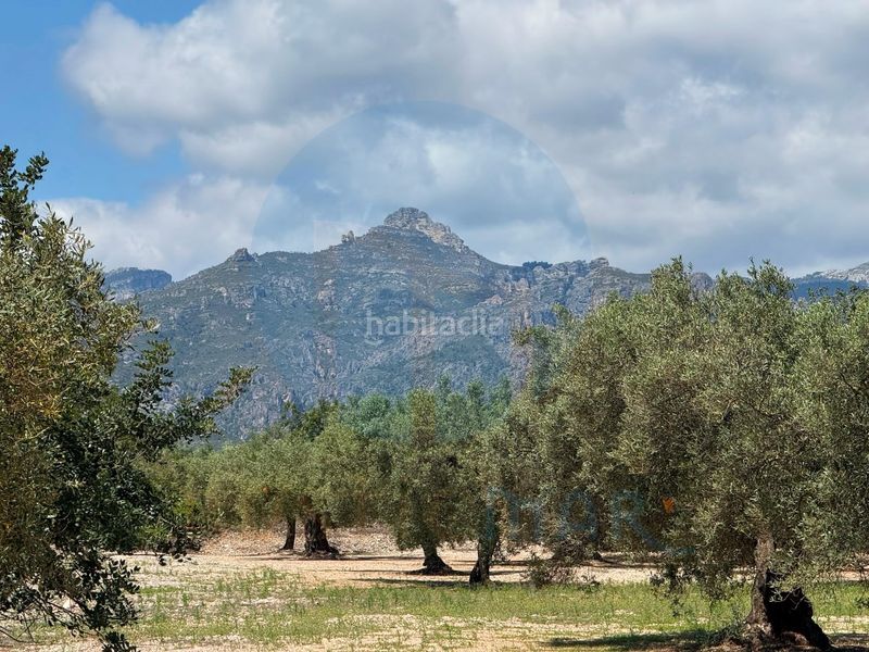 Foto ea21edfc-3683-4386-814d-4adb6c15c788. Masia a Mas de Barberans