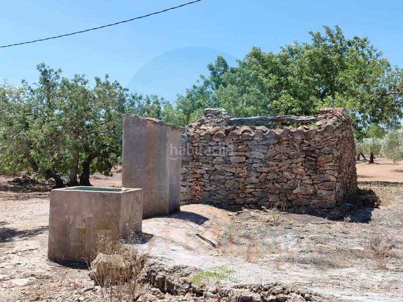 Foto 7a272265-765c-47ab-8723-ffe070272bd9. Masia a Perelló (El)