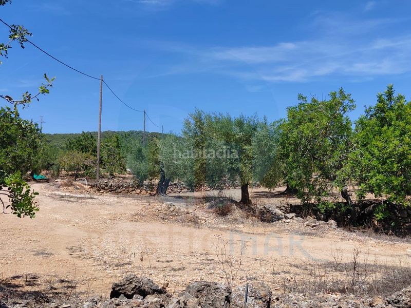 Foto c06c1d3f-f421-4424-a998-748ecb430f7a. Masia a Perelló (El)