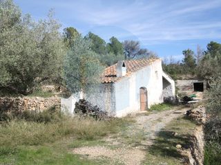 Bauernhof  Poligono 138 paraje 53 mas de bermejo. Finca de olivos con caseta y vistas al mar