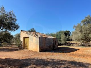 Masia a Camarles. Finca rústica con dos casetas de campo.