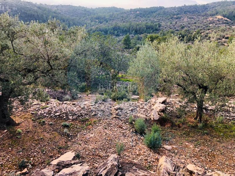 Foto 61f5e5ea-7096-421a-8af2-0cd9d9409c21. House in Urbanitzacions Tortosa