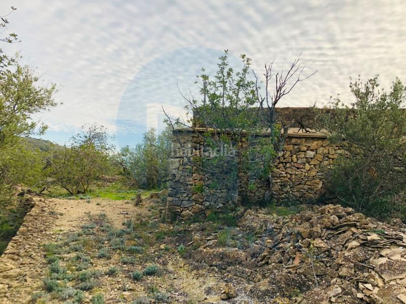 Foto 928dd2a9-784f-4182-a7b4-07aa9c50b73f. House in Urbanitzacions Tortosa