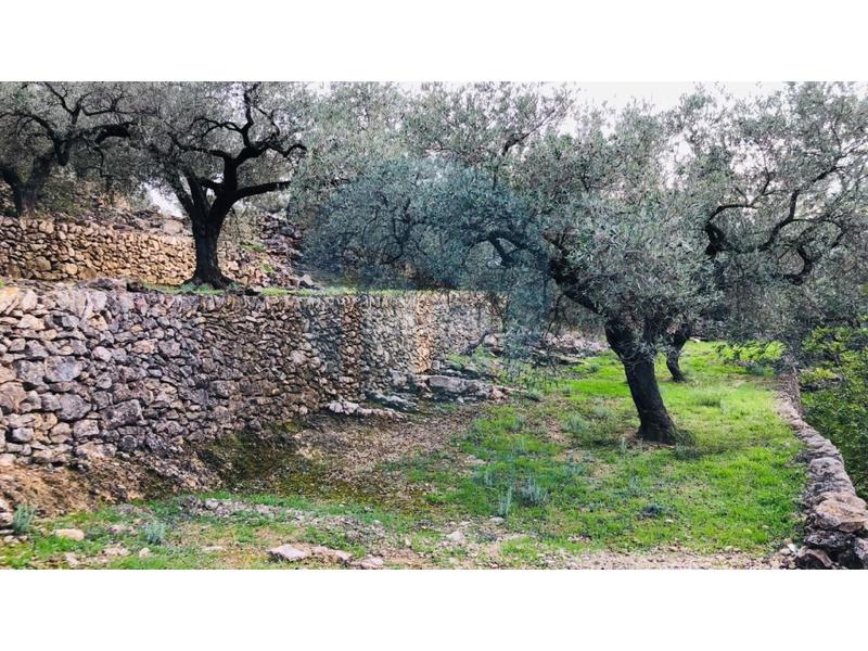 Foto add1cd4b-2f41-4b33-a937-0c74f5e61e75. House in Urbanitzacions Tortosa