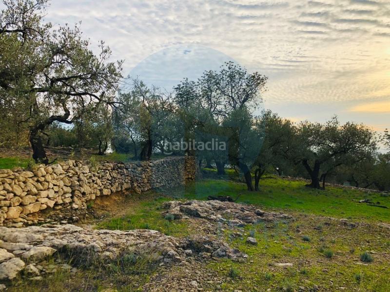 Foto b42e2105-0e30-4163-9b7f-672041ce9028. House in Urbanitzacions Tortosa