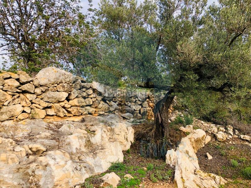 Foto b7cdd8e0-93e7-41f8-a6cd-8f009c7cc27d. House in Urbanitzacions Tortosa