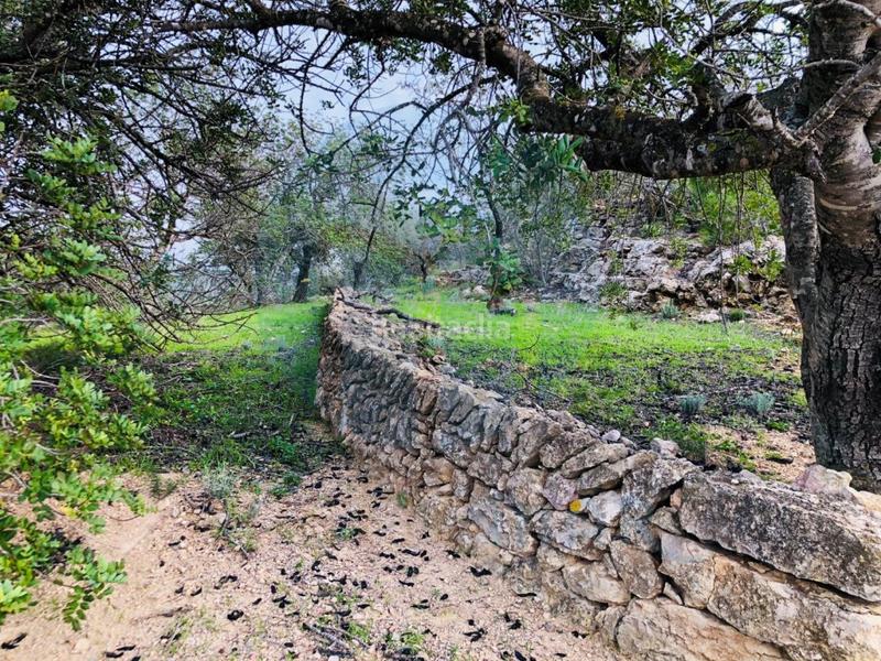 Foto bd9973e0-56ff-4eb5-9227-5f215497e8c6. House in Urbanitzacions Tortosa